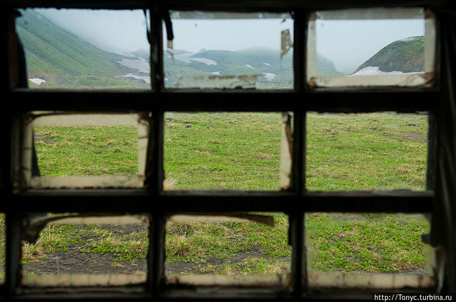 Окно в природу. Окно в природу.