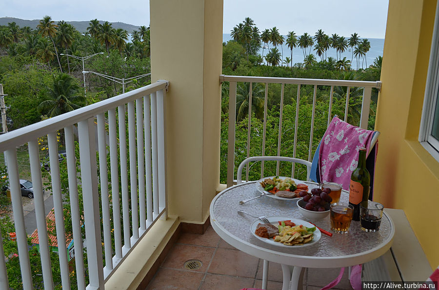 Из жизни зверей и людей — 2 Пуэрто-Рико Из жизни зверей и людей — 2 Пуэрто-Рико