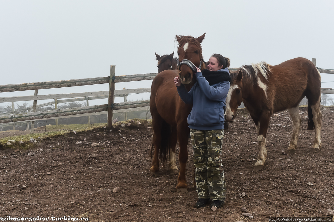 Сен-Пьер. Остатки Новой Франции Остров Сен-Пьер, Сен-Пьер и Микелон Сен-Пьер. Остатки Новой Франции Остров Сен-Пьер, Сен-Пьер и Микелон