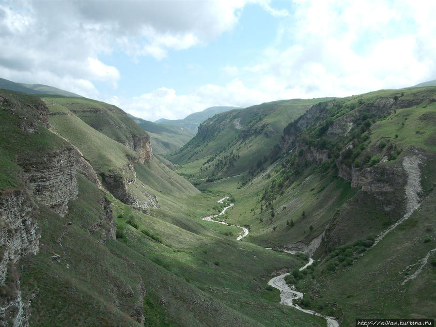 Чеченские каникулы