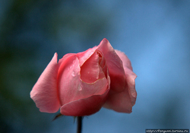 Разноцветная осень Штутгарт, Германия Разноцветная осень Штутгарт, Германия