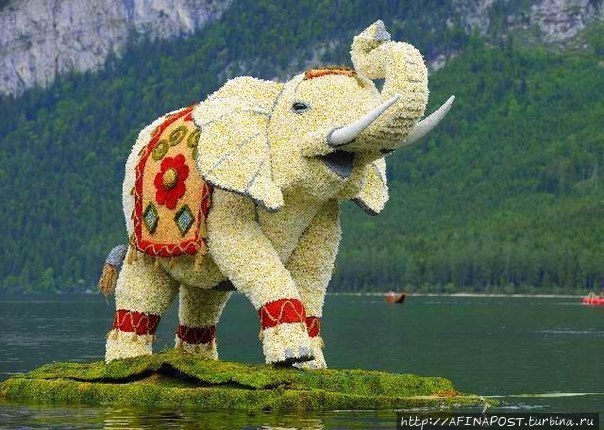 Вот, куда бы — рвануть! Харлем, Нидерланды Вот, куда бы — рвануть! Харлем, Нидерланды