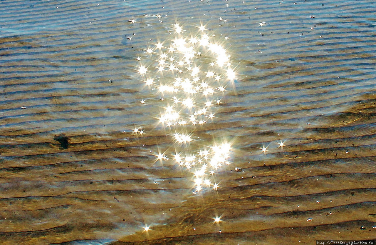 Мой вопрос к Солнцу Сосновый Бор, Россия Мой вопрос к Солнцу Сосновый Бор, Россия