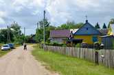 Пашуцкая Буда — деревня внутри Беловежской пущи