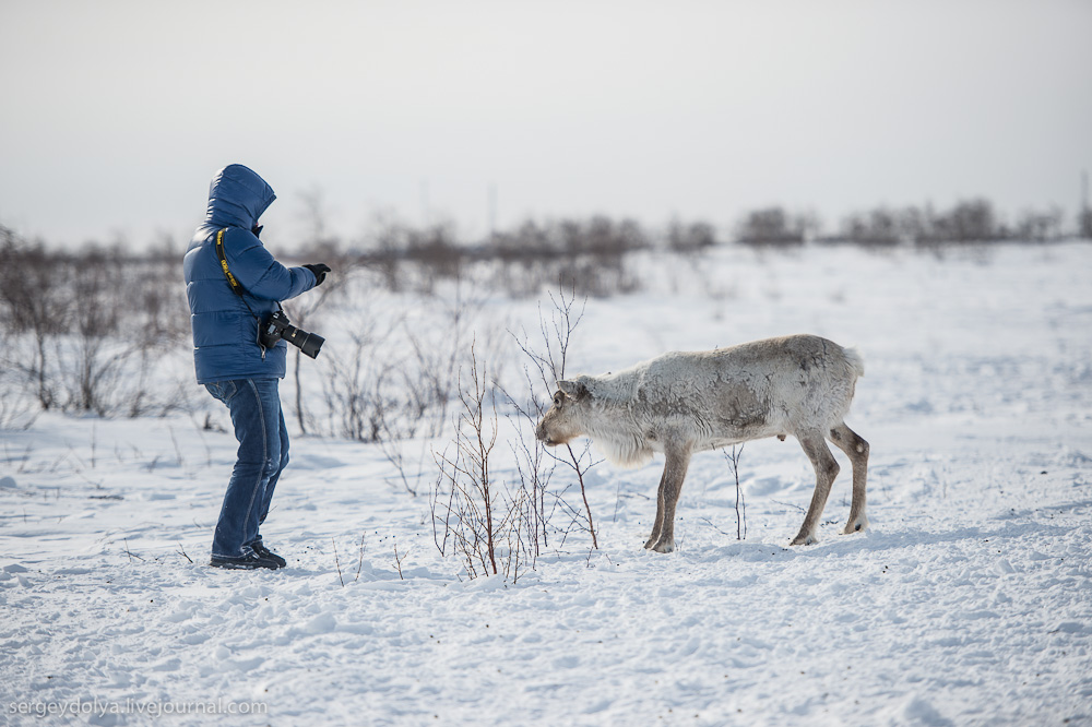 Шурша страницами интернета Салехард, Россия Шурша страницами интернета Салехард, Россия