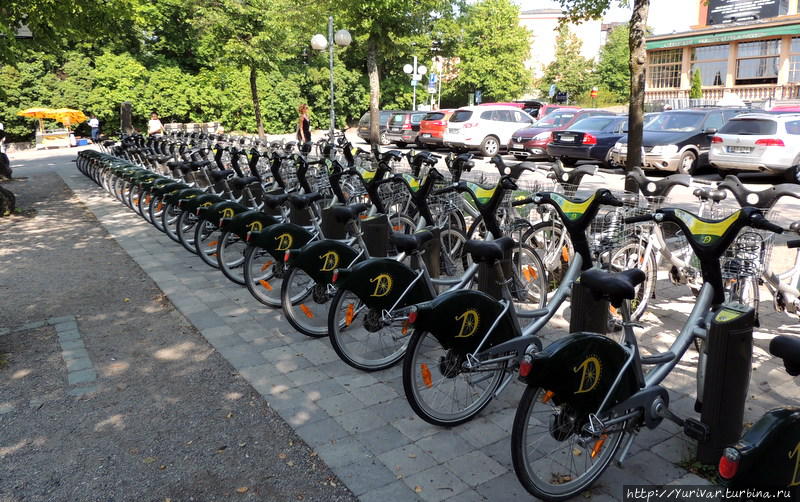 У входа в парк Скансен можно взять напрокат велосипед Стокгольм, Швеция
