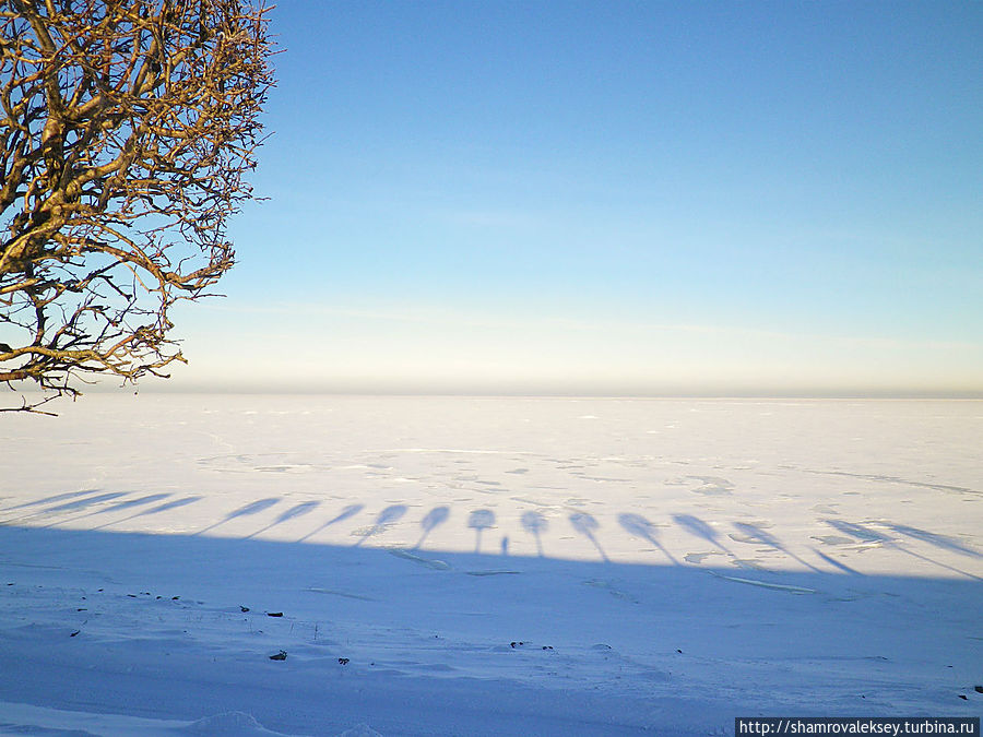 Внеземное ощущение Петергоф, Россия Внеземное ощущение Петергоф, Россия