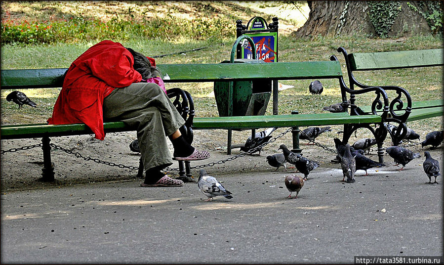 Сквер в котором можно вздремнуть Сквер в котором можно вздремнуть