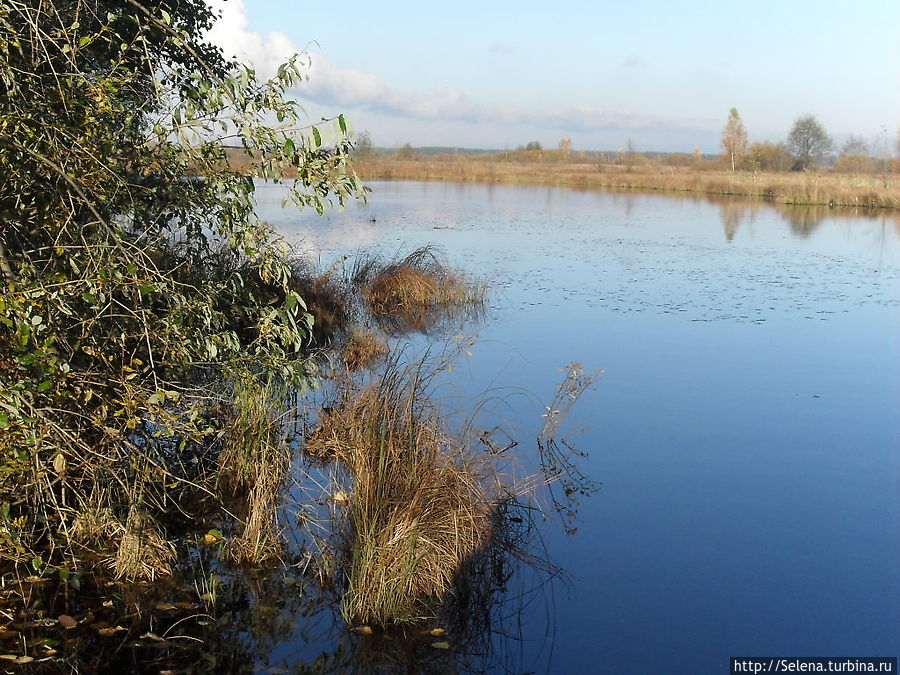 Озеро Сестрорецкий Разлив / Lake Sestroretskiy Razliv