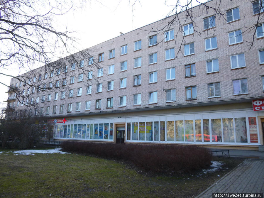 Под соснами Северной Ривьеры Сестрорецк, Россия Под соснами Северной Ривьеры Сестрорецк, Россия