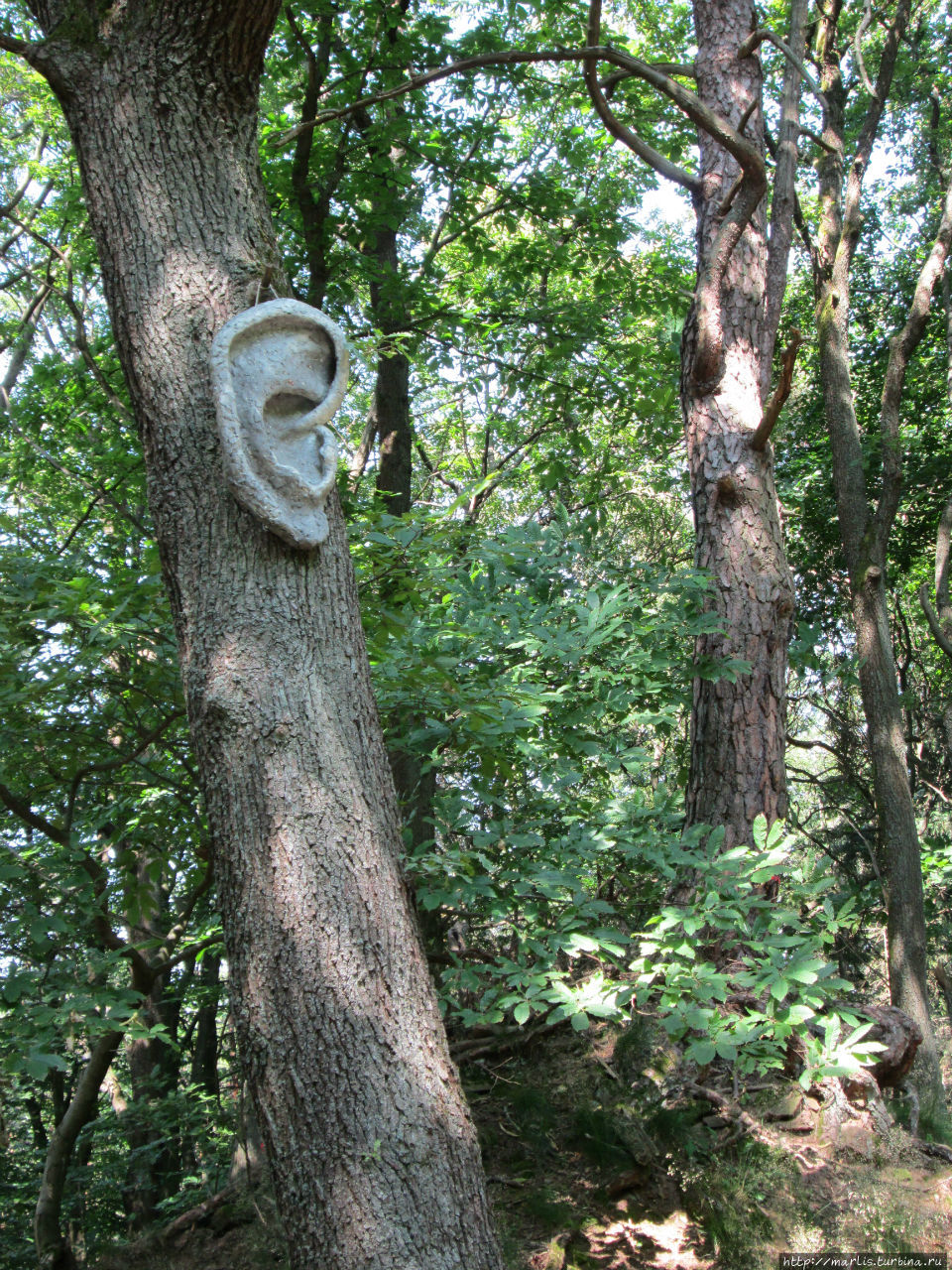 Наш маленький бестиарий Нагольд, Германия Наш маленький бестиарий Нагольд, Германия