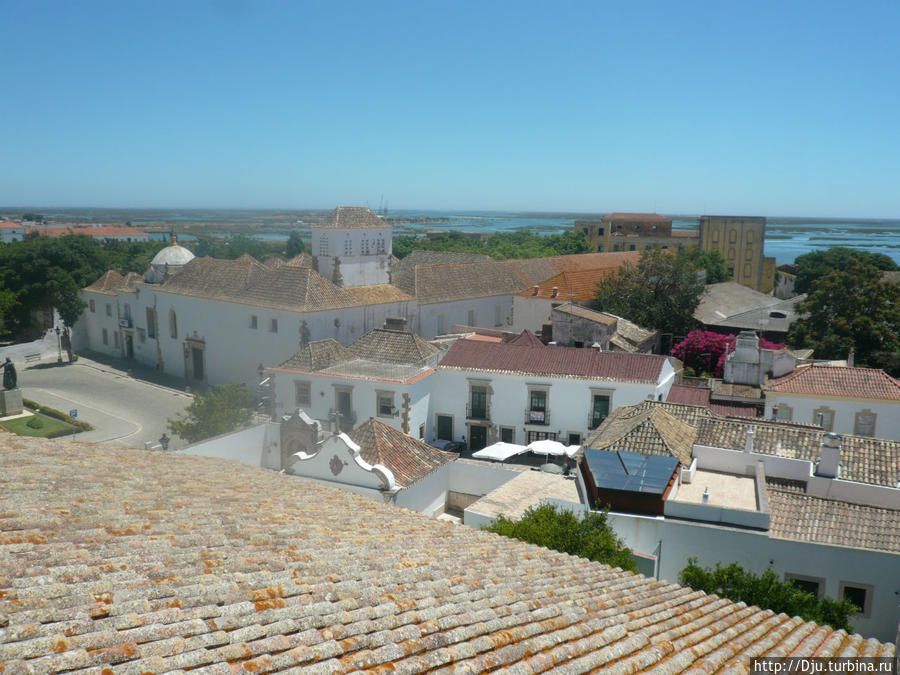 Увидеть город глазами аистов Фару, Португалия