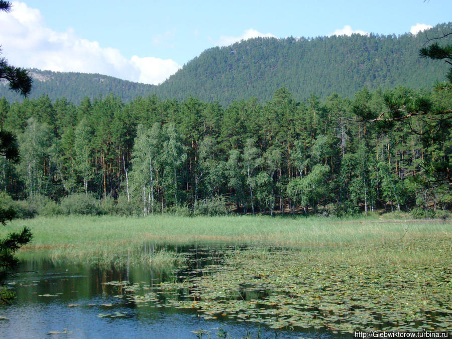 Озеро Лебяжье Бурабай Национальный Парк, Казахстан