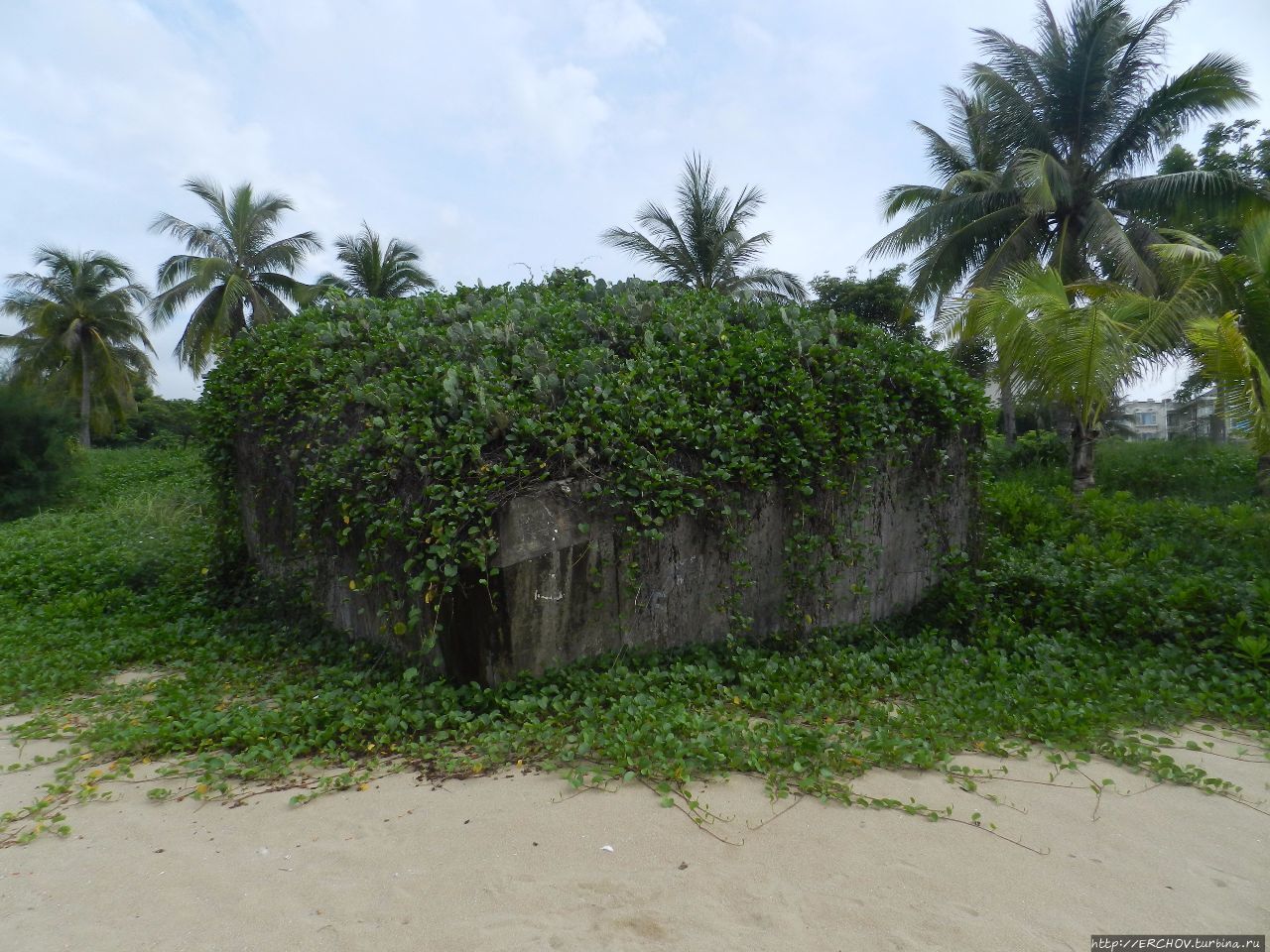 Китай и Россия. Размышления дилетанта Китай Китай и Россия. Размышления дилетанта Китай