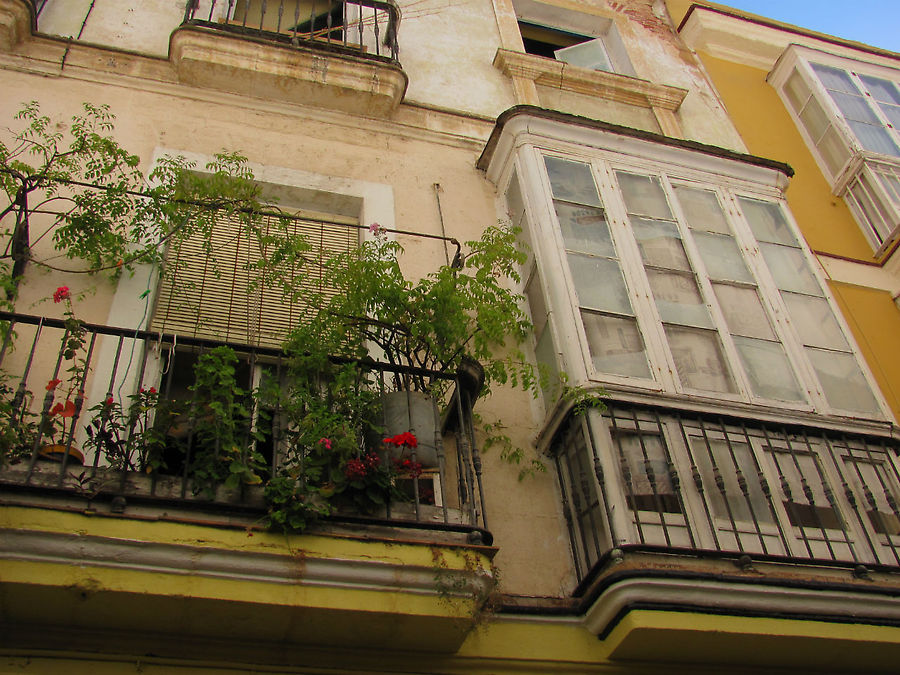 Кадис. Моя коллеция балконов Кадис, Испания