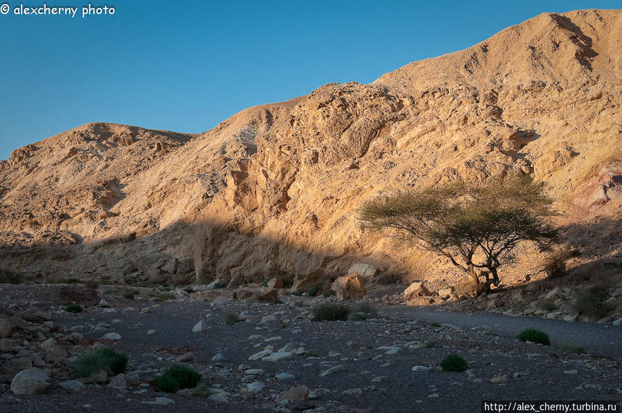 начало каньона не выглядит обещающе Эйлат, Израиль