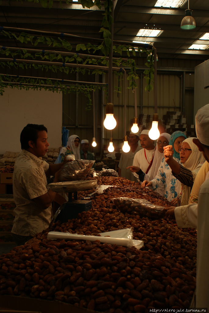 Из Эр Рияда в неизвестность Эр-Рияд, Саудовская Аравия Из Эр Рияда в неизвестность Эр-Рияд, Саудовская Аравия