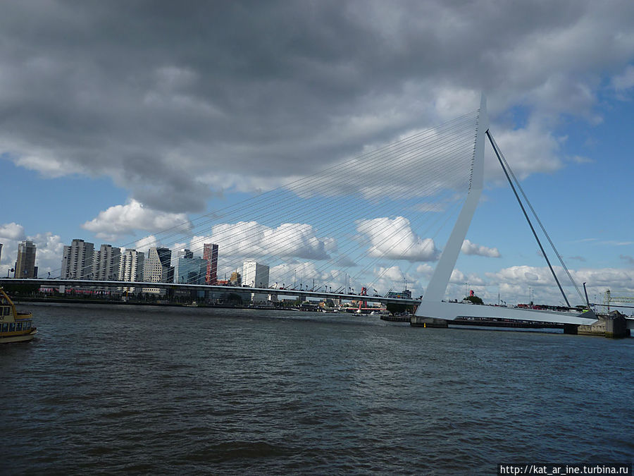 Роттердам Роттердам