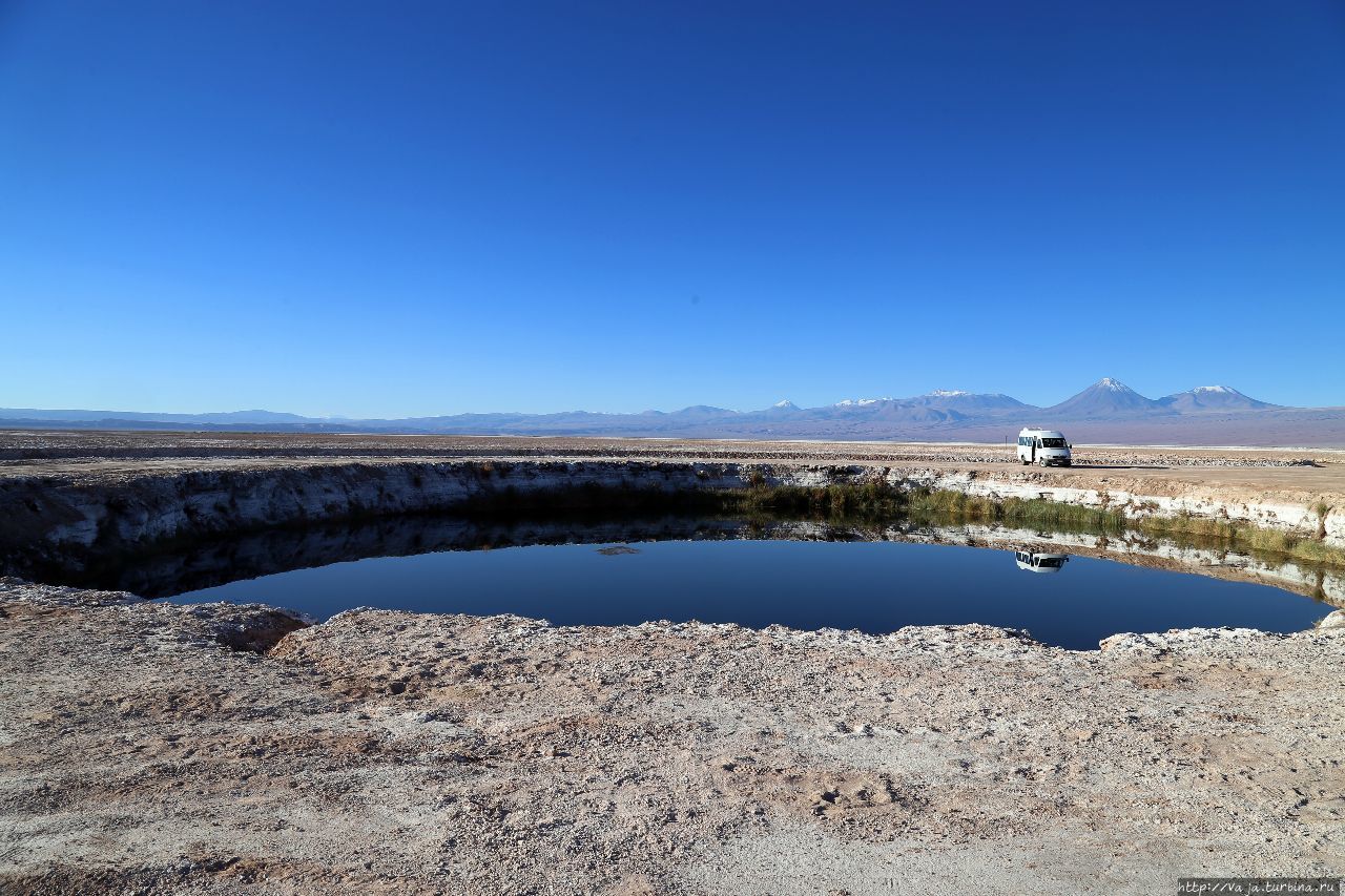 Чудо в пустыне. Вода, этому озерцу много тысяч лет Сан-Педро-де-Атакама, Чили