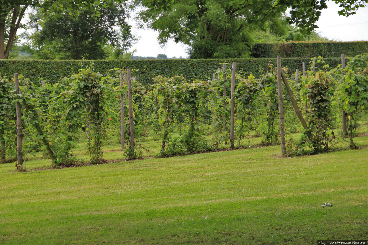 Аббатство Рошфор Рошфор, Бельгия Аббатство Рошфор Рошфор, Бельгия