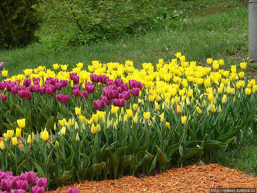 Весенняя феерия Певческого поля Киев, Украина Весенняя феерия Певческого поля Киев, Украина