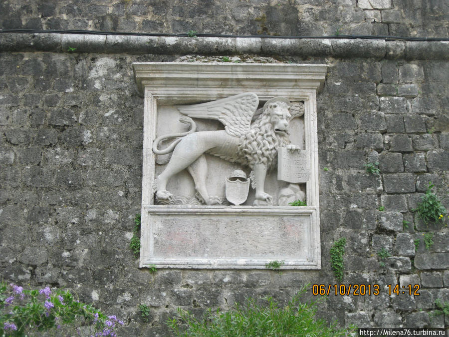 Венецианские львы Котор, Черногория