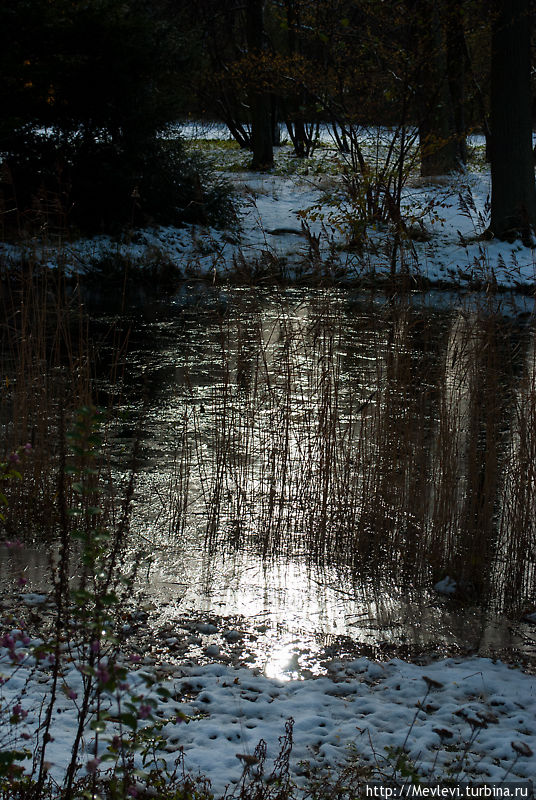 Первый снег в рижском ботаническом саду Рига, Латвия