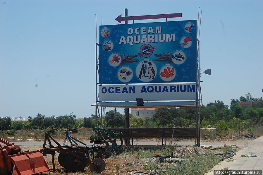 Океанариум / Ocean aquarium