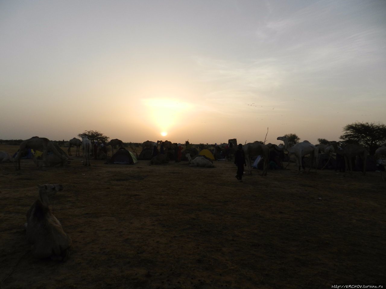 Нигер. Ч — 11. Утро в пустыне Департамент Агадес, Нигер
