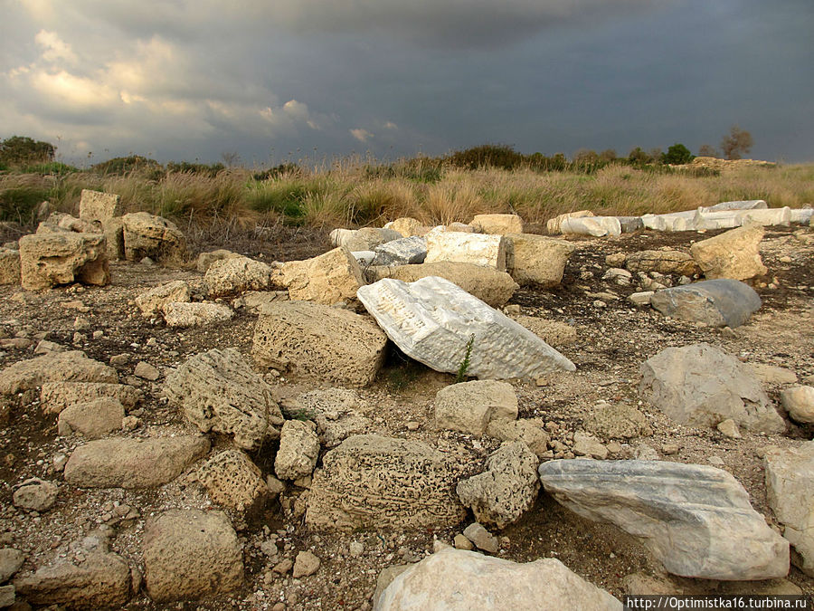 Кесария в декабре — продолжение экскурсии по древнему городу Кесария, Израиль Кесария в декабре — продолжение экскурсии по древнему городу Кесария, Израиль