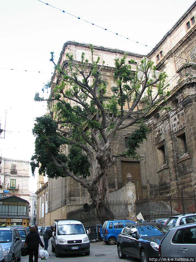 Ораторий Святого Розария Ораторий Святого Розария