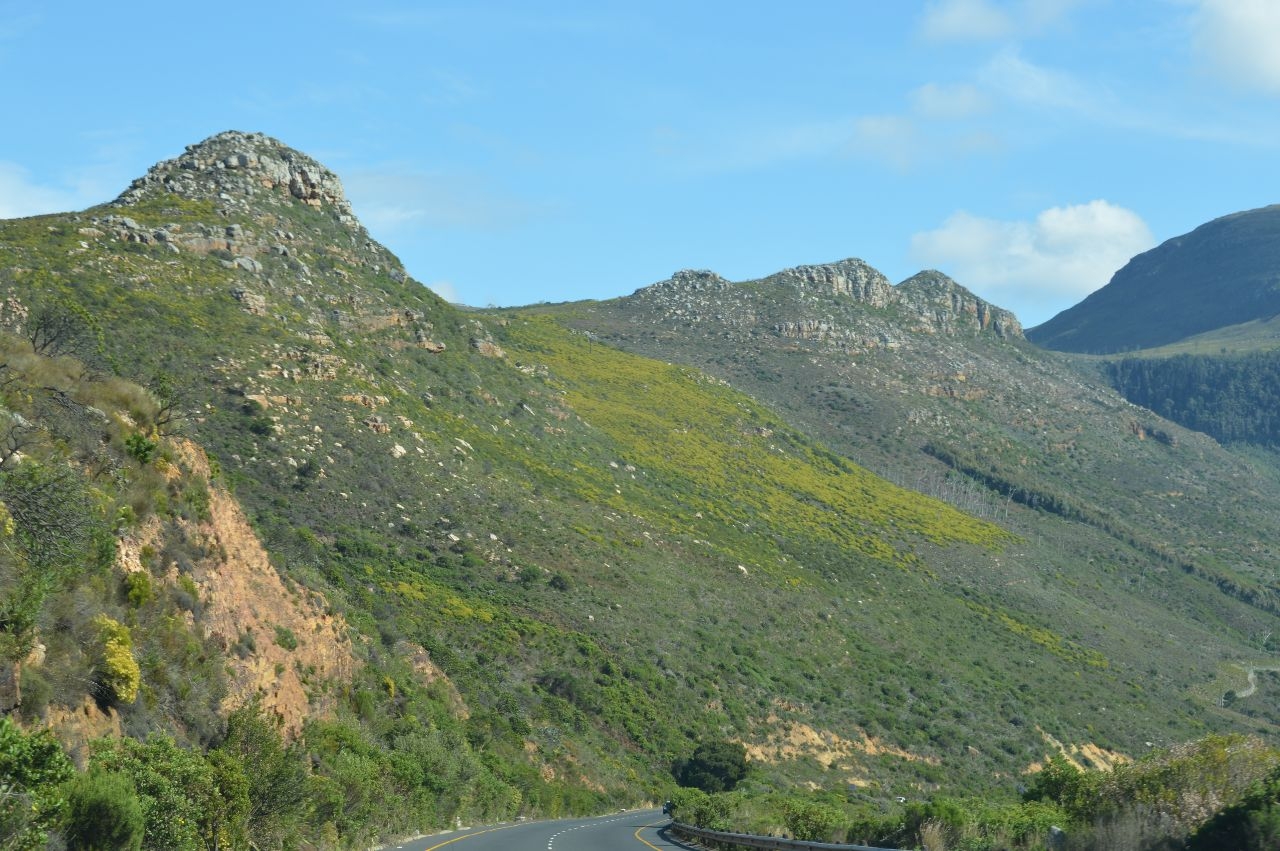 Южноафриканский Стелленград Стелленбош, ЮАР