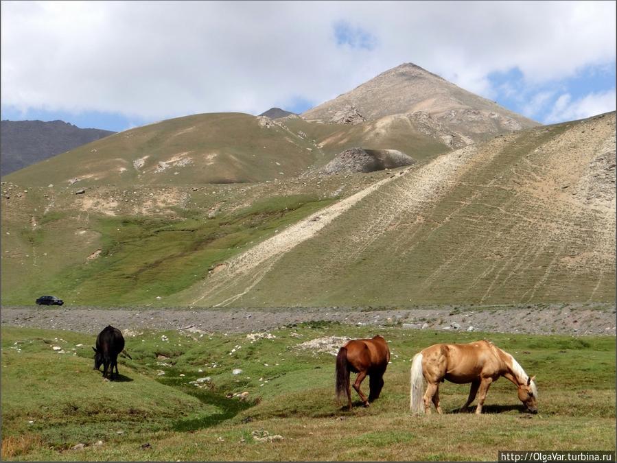 Сусамырская долина Чуйская область, Киргизия