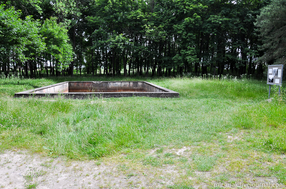 Из всех объектов, по крайней мере на поверхности, отлично сохранился бассейн Гитлера. Винницкая область, Украина