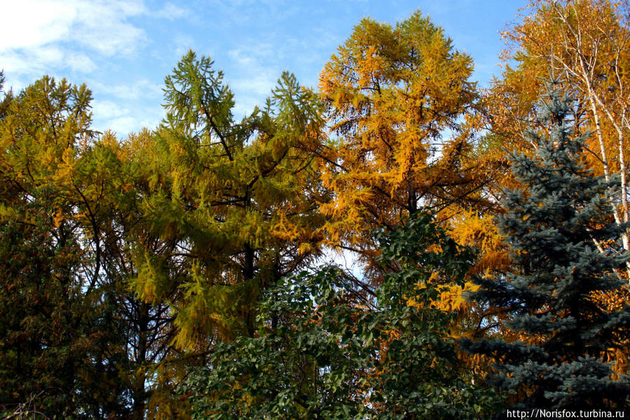 Осень. Новодевичье Москва, Россия Осень. Новодевичье Москва, Россия