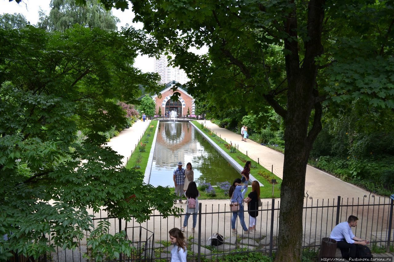 Ботанический сад МГУ 