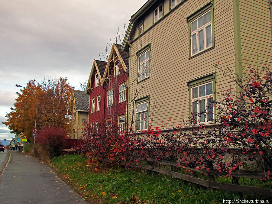 Mollenberg — район для жизни Тронхейм, Норвегия