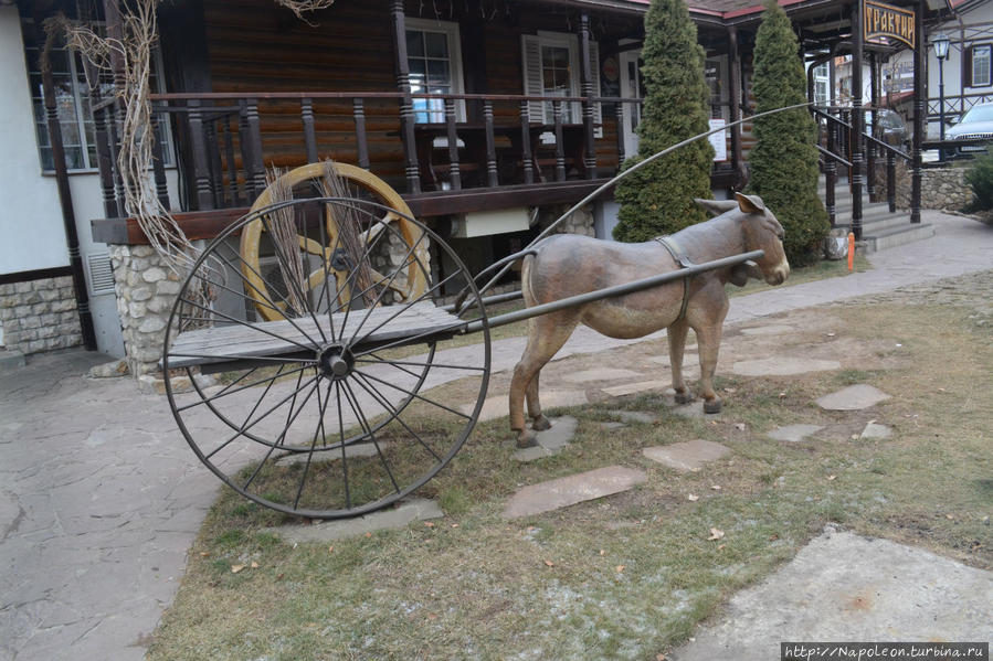 Творюки в Рязани Рязань, Россия