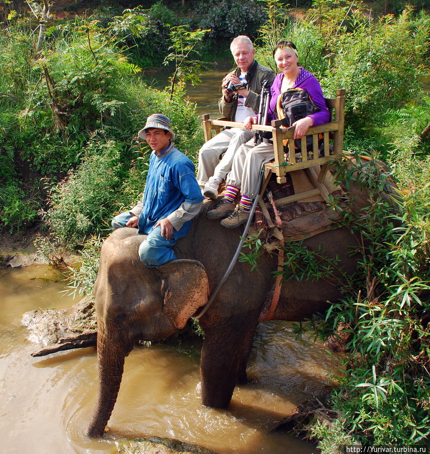 Сидя на слоне чувствуешь себя магараджей Луанг-Прабанг, Лаос