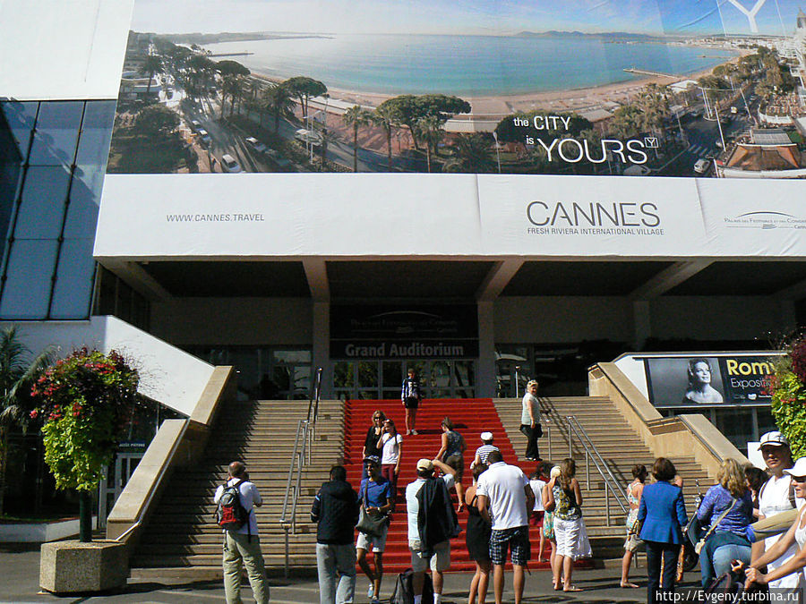 Моя любимая на красной дорожке в Каннах, Все просто рвались её фотографировать Моя любимая на красной дорожке в Каннах, Все просто рвались её фотографировать