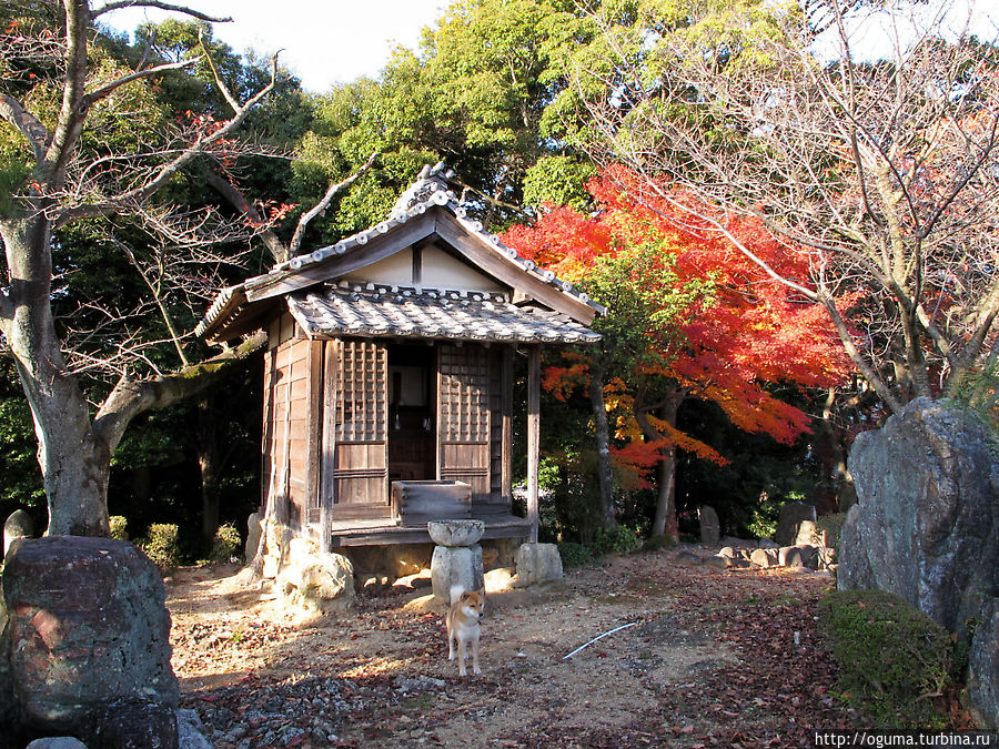 в городе Инуяма, рядом с храмом Нарита в городе Инуяма, рядом с храмом Нарита
