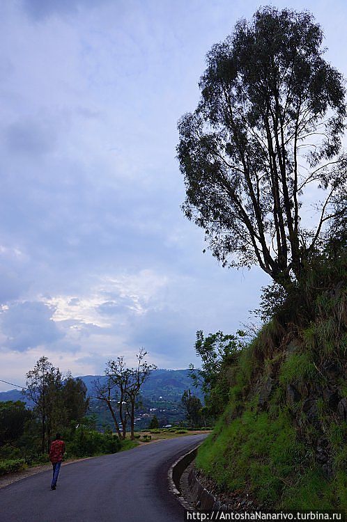 Идем наверх, к центру города Идем наверх, к центру города