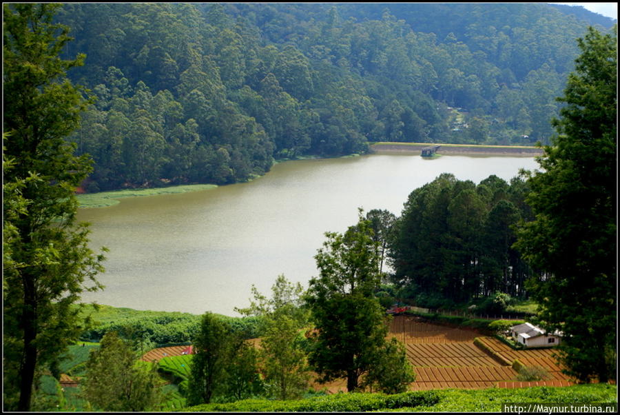 Плантации   расположены  в  районе  небольшого  красивого  озера. Нувара Элия, Шри-Ланка