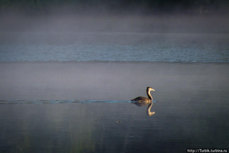 Яльчик Волжск, Россия Яльчик Волжск, Россия