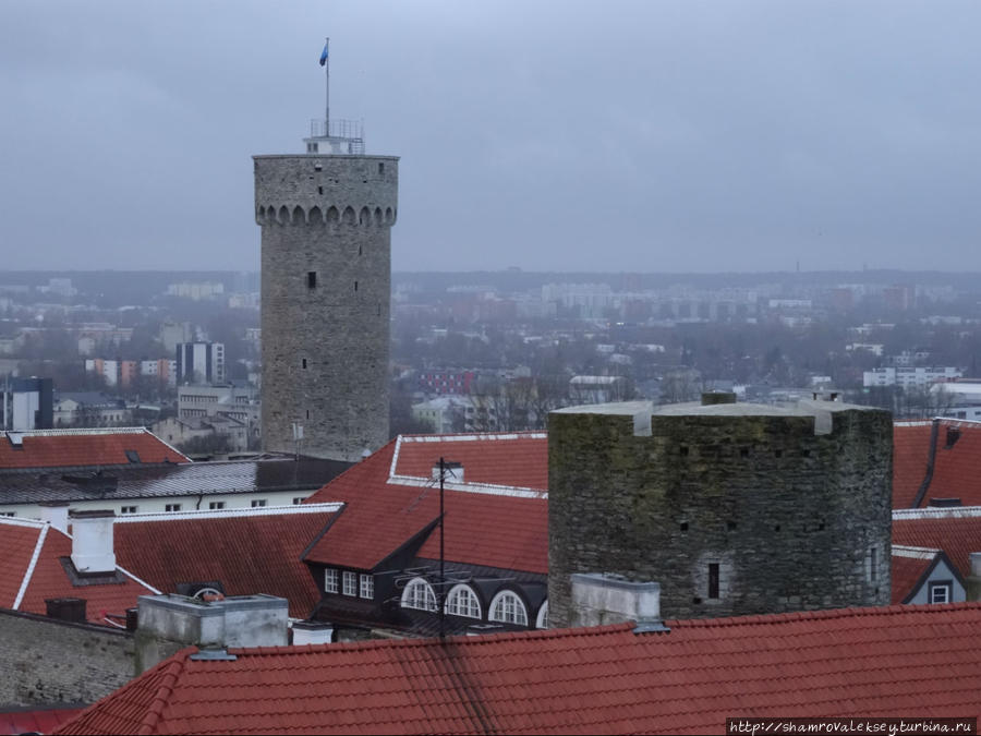 Таллин. Панорамы города с высоты колокольни Домского собора Таллин, Эстония