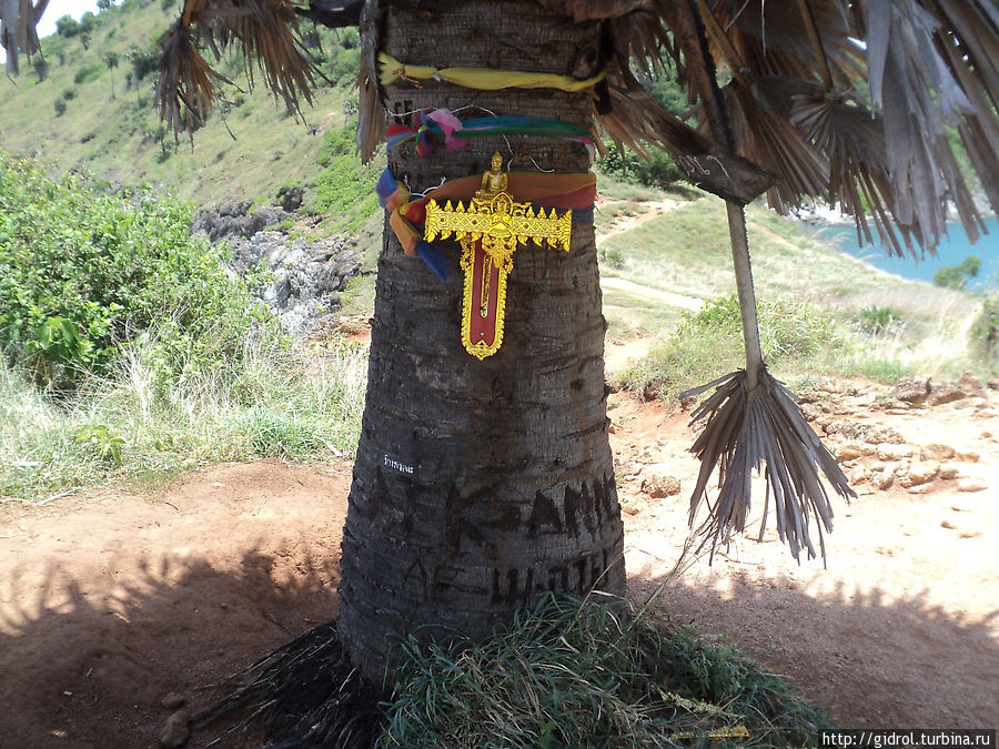 Одиночное дерево (пальма) по центру мыса. Пхукет, Таиланд