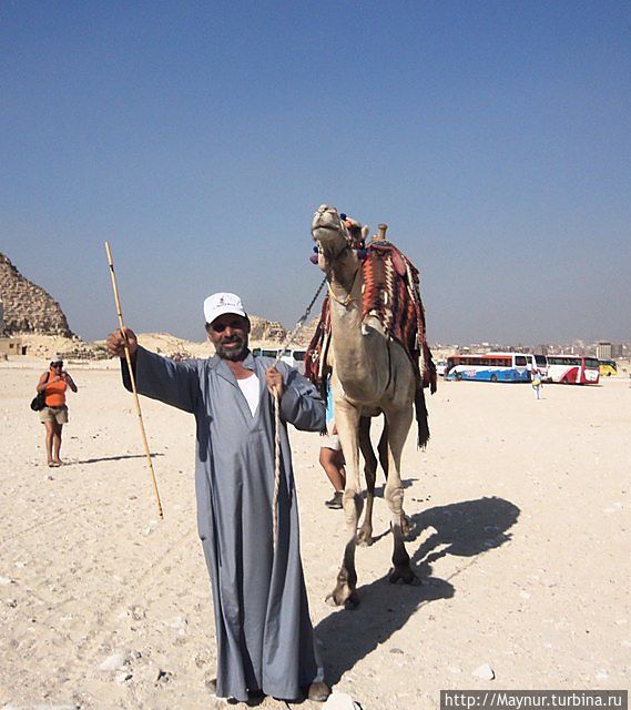 Настоящий бедуин. Каир, Египет