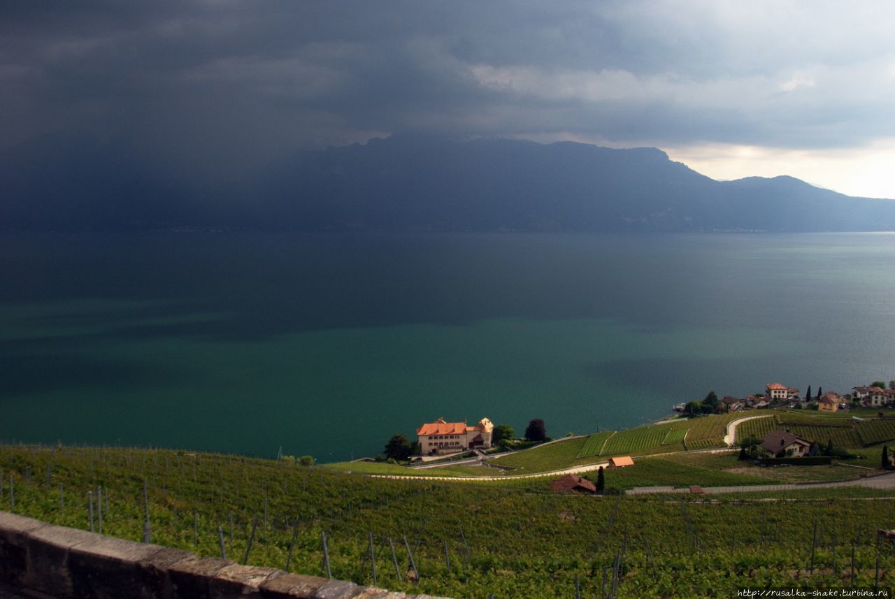 Винорама Лаво Шексбр, Швейцария