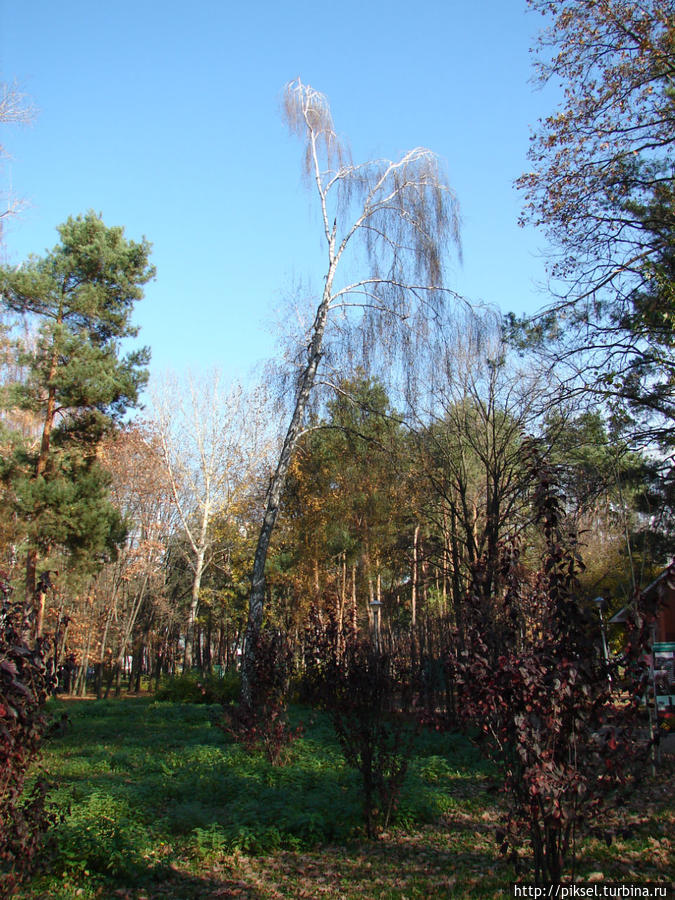 Осенняя медитация Киев, Украина Осенняя медитация Киев, Украина