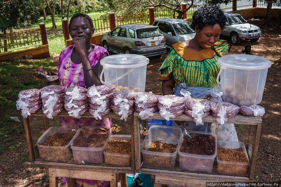 Тётеньки продают орехи Джинджа, Уганда